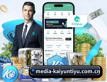 开云官网入口 APP 深度功能