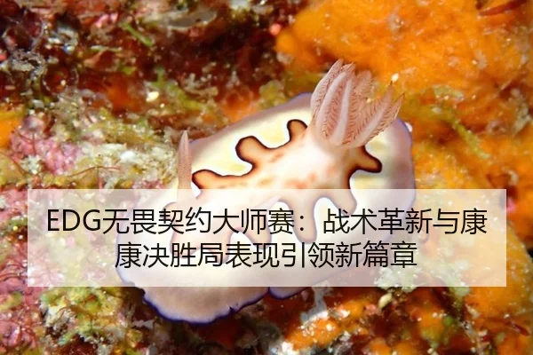 wu-wei-qi-yue-da-shi-sai-zhan-shu-ge-xin-yu-kang-kang-jue-sheng-ju-biao-xian-yin-ling-xin-pian-zhang-3-475.jpg