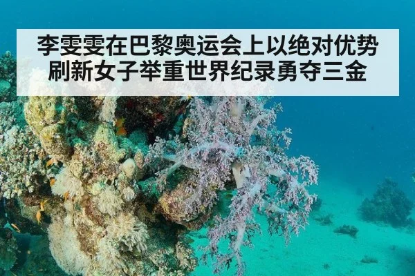李雯雯在巴黎奥运会上以绝对优势刷新女子举重世界纪录勇夺三金