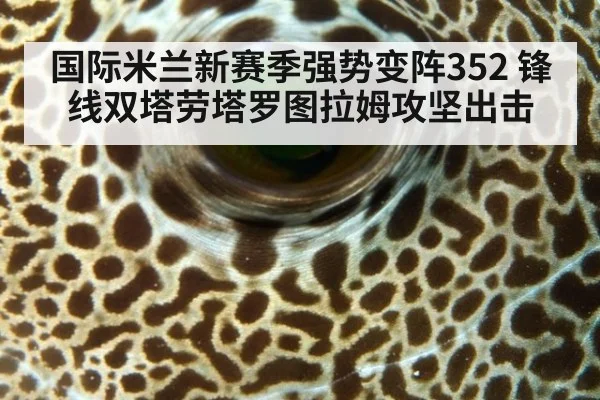 国际米兰新赛季强势变阵352 锋线双塔劳塔罗图拉姆攻坚出击
